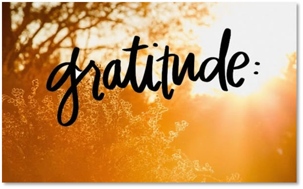 Gratitude